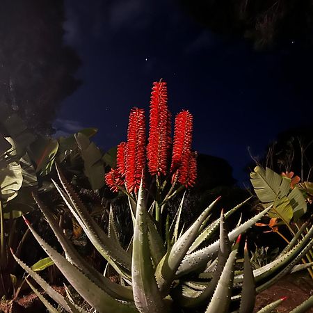 Villa Boheme Costa Brava Calonge  Eksteriør billede