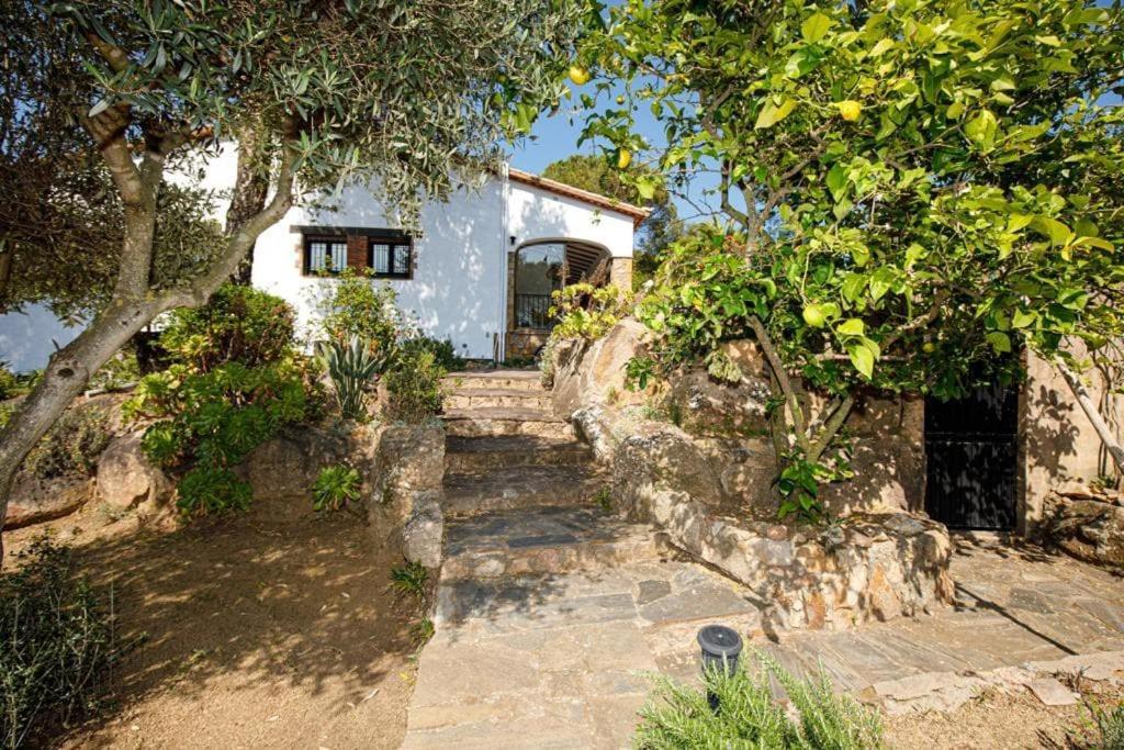 Villa Boheme Costa Brava Calonge  Eksteriør billede