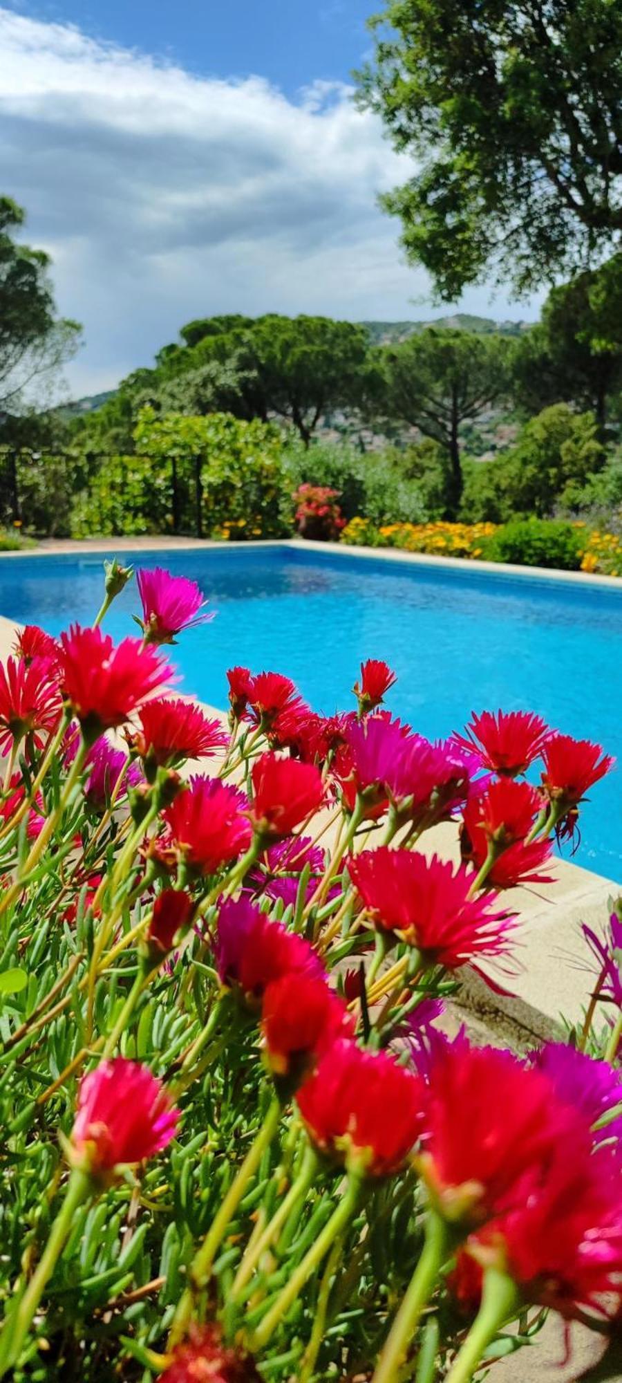Villa Boheme Costa Brava Calonge  Eksteriør billede