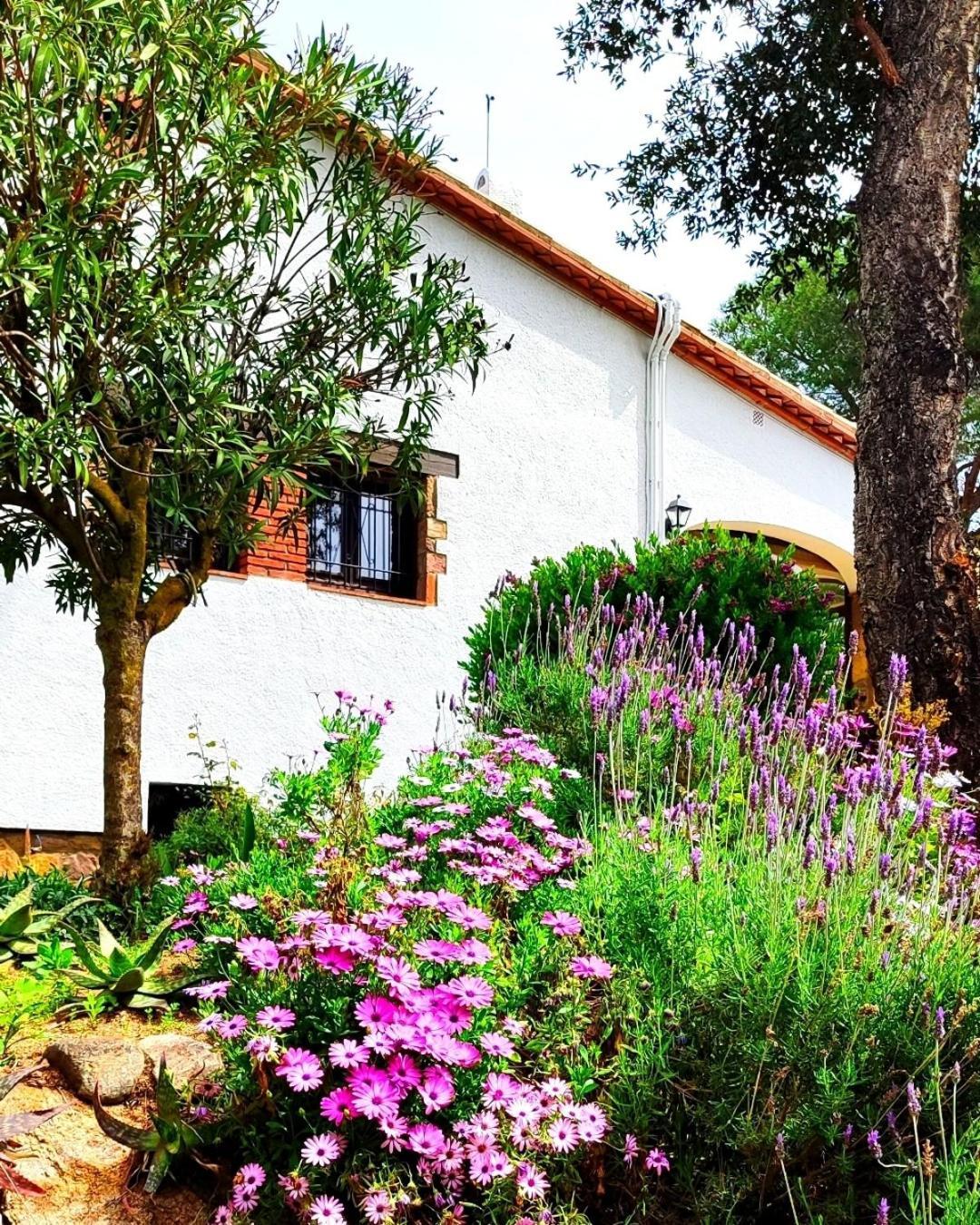 Villa Boheme Costa Brava Calonge  Eksteriør billede